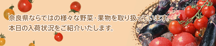 奈良県ならではの様々な野菜・果物を取り扱っています。本日の入荷状況をご紹介いたします。