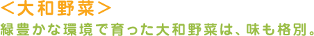 ＜大和野菜＞緑豊かな環境で育った大和野菜は、味も格別。