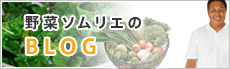 野菜ソムリエのBLOG