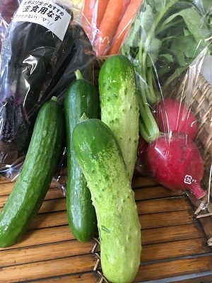 新鮮!奈良野菜パック