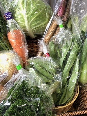 新鮮こだわり充実奈良野菜パック